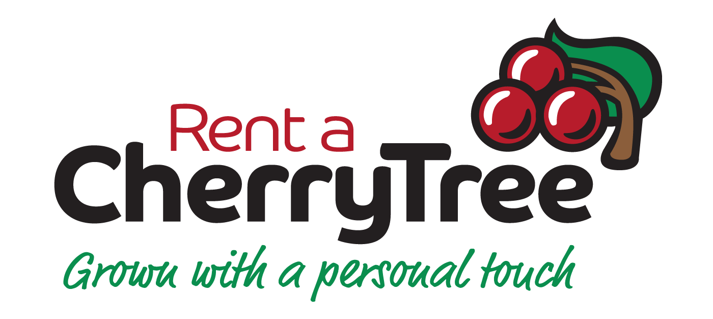 Rent A Cherry Tree - Grown With A Personal Touch